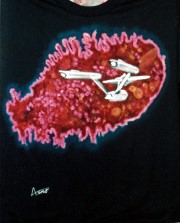 The Immunity Syndrome